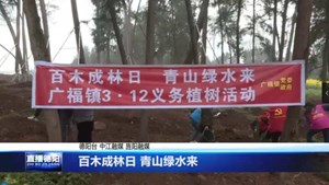 百木成林日 青山绿水来