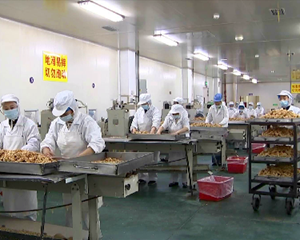 干在一线｜打响高质量发展主动仗 跑出特色产业集群培育“加速度”