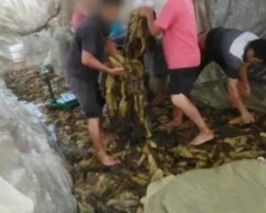 那些曾被“315”点过名的品牌，现在都怎么样了？