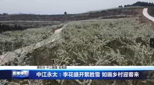 中江永太：李花盛开繁胜雪 如画乡村迎客来