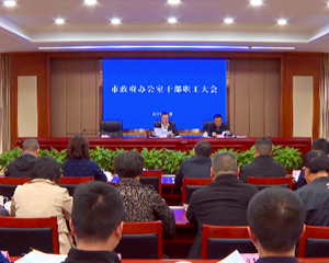 市政府：奋力推动新时代德阳现代化建设