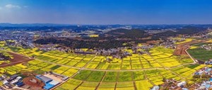 奋力书写新时代更高水平的 “天府粮仓”德阳答卷