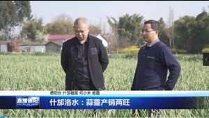 什邡洛水：蒜薹产销两旺