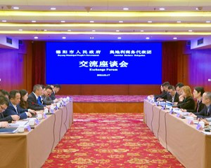 奥地利商务代表团赴德阳考察交流