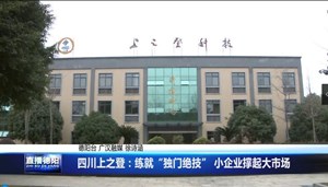 四川上之登：练就“独门绝技” 小企业撑起大市场