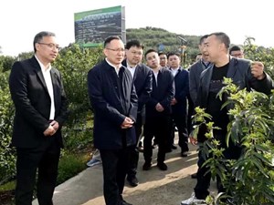 坚持农业农村优先发展 加快农业农村现代化步伐