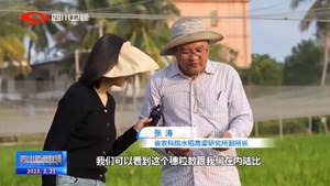 省媒看德阳｜春分时节抢农时  万象“耕”新蜀乡忙