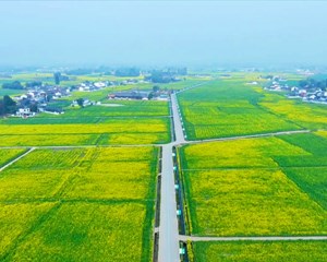 德阳：藏粮于地藏粮于技 高水平打造“天府粮仓”