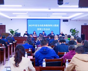 德阳：推动数字政府建设 持续优化营商环境