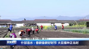 什邡洛水：春耕备耕好时节 大豆播种正当时