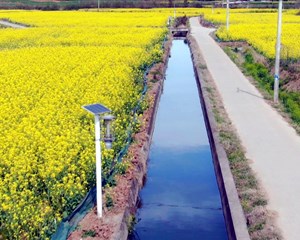 中江：多举措保障春灌用水 夯实夏粮丰收基础