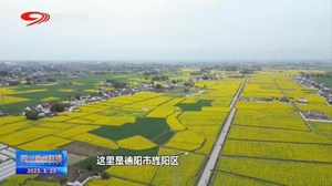 省媒看德阳 | 旌阳区：田间春耕忙