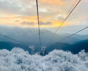 1元畅游西岭雪山！快来薅羊毛！