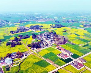 德阳：选良种施良法 打造更高水平“天府粮仓”
