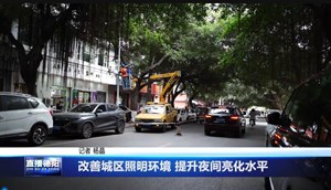 改善城区照明环境 提升夜间亮化水平