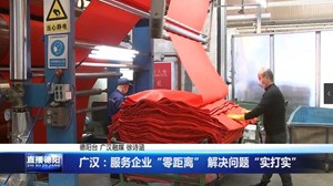 广汉：服务企业“零距离” 解决问题“实打实”