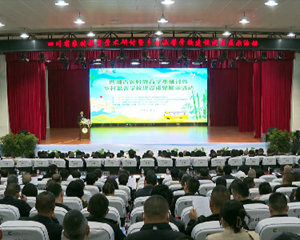 全省农村教育学术研讨暨乡村温馨学校建设成果展示活动在绵竹举行