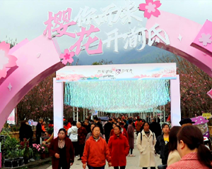 什邡湔氐镇：万株樱花怒放 “浪漫樱花之旅”开启