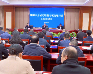 全市全域无垃圾专项治理行动工作推进会召开