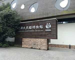 不要跑空了！成都大熊猫博物馆临时闭馆通知→