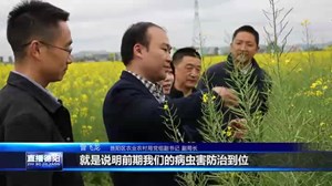 旌阳：花美油香 “古法”榨油呈现新亮点
