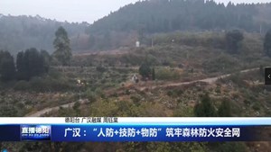 广汉：“人防+技防+物防”筑牢森林防火安全网