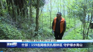 什邡：159名网格员扎根林区 守护绿水青山