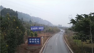 “人防+技防+物防”筑牢森林防火安全网