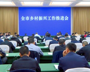 全市乡村振兴工作推进会召开