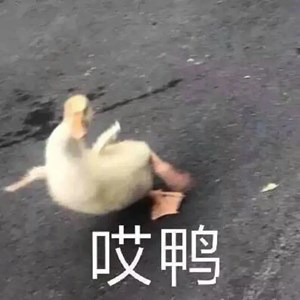 报！有雨+有风！德阳最低气温降到……