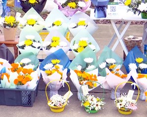 网络中国节·清明|德阳：文明祭祀 绿色殡葬