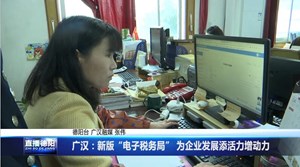 广汉：新版“电子税务局” 为企业发展添活力增动力