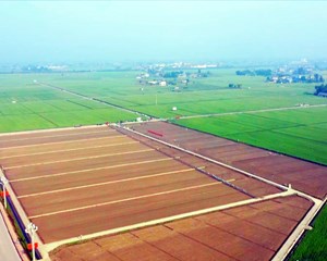 藏粮于技正当时 “慧”就农业新图景