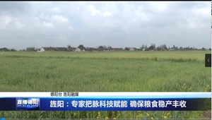 旌阳：专家把脉科技赋能 确保粮食稳产丰收