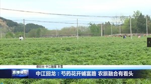 中江回龙：芍药花开铺富路 农旅融合有看头