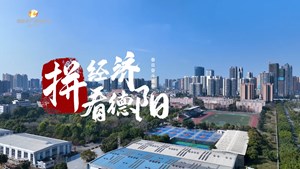 拼经济·看德阳（六）