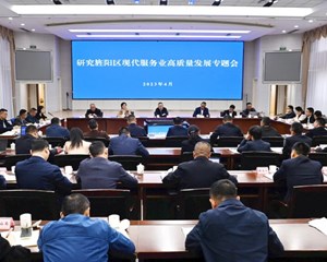 加快构建现代化服务产业体系 为德阳高质量发展集聚新动能