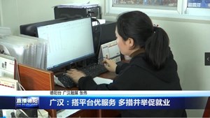  广汉：搭平台优服务 多措并举促就业