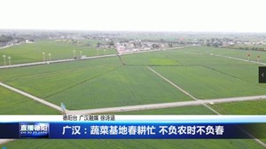 广汉：蔬菜基地春耕忙 不负农时不负春