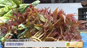 央视看德阳｜野菜扎堆上市很“吃香”