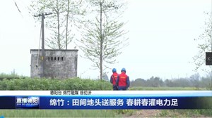 绵竹：田间地头送服务 春耕春灌电力足