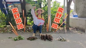 主播体验挖野菜 品尝春天的美味！