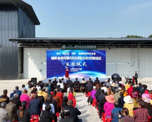 罗江：深化“银企村”共建 赋能集体经济发展