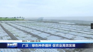 广汉：绿色种养循环 促农业高效发展