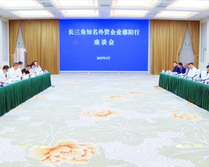 长三角知名外资企业到我市考察交流