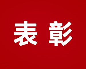 德阳这些团组织和个人被授予称号！共青团中央表彰全国五四红旗团组织和优秀团员团干部名单公布