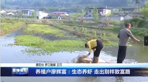 养殖户廖辉富：生态养虾 走出别样致富路
