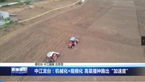 中江龙台：机械化+规模化 高粱播种跑出“加速度”