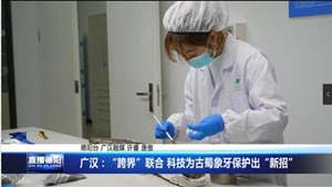 广汉：“跨界”联合 科技为古蜀象牙保护出“新招”