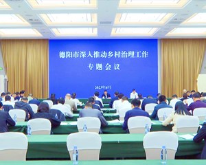 德阳市深入推动乡村治理工作专题会议召开